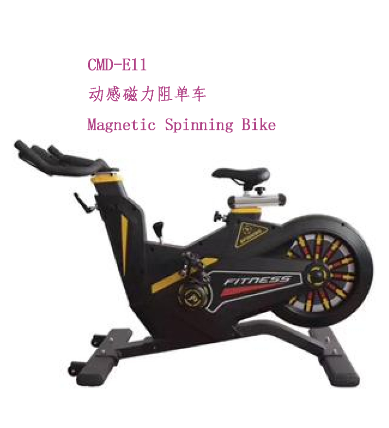 CMD-E11动感磁力阻单车.png