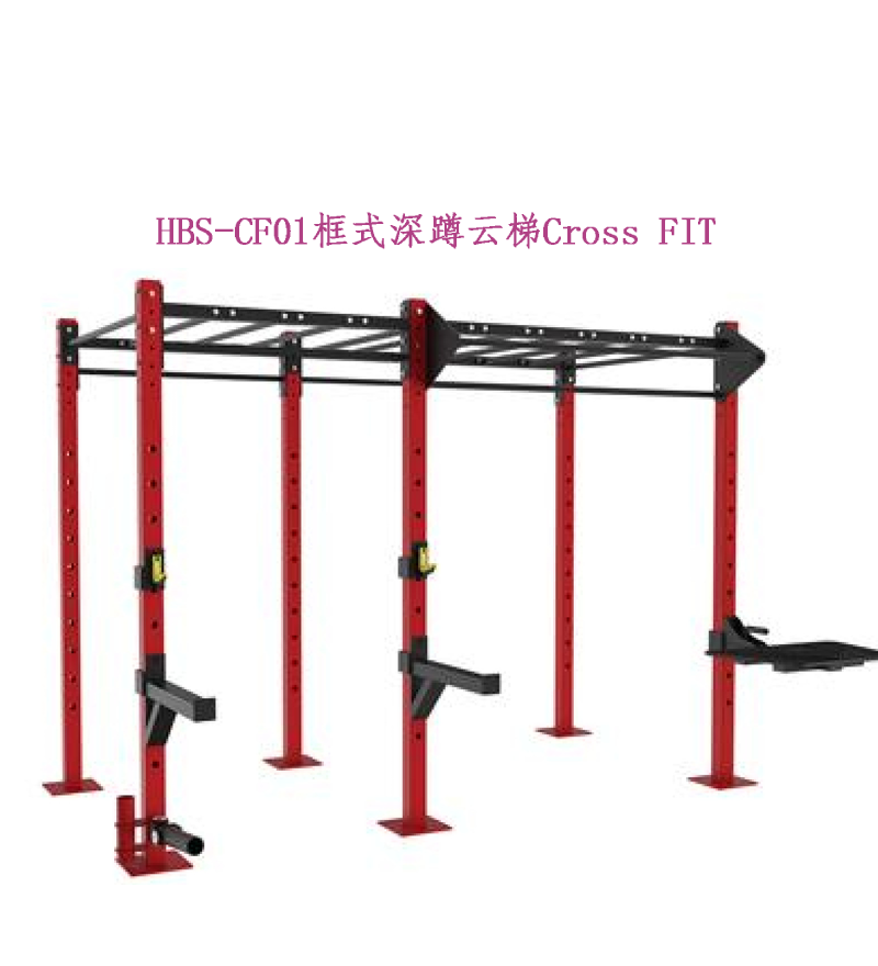 HBS-CF01框式深蹲云梯.png
